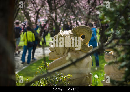 Coreano idolo di pietra nella primavera fiorita park. Una vista attraverso gli alberi. Foto Stock