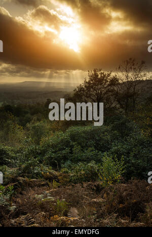 Incredibile Autunno Autunno tramonto sul paesaggio forestale con moody drammatico sky Foto Stock