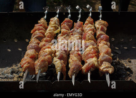 Fette di carne infilati su uno spiedino. Vengono fritte sulle braci in un braciere. Foto Stock