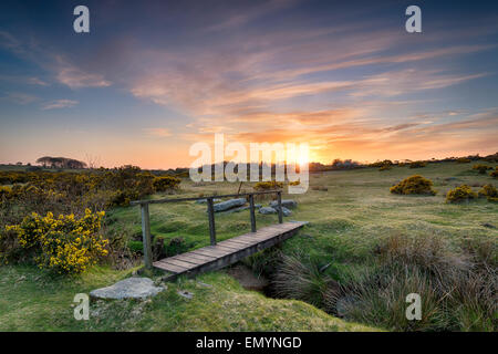 Tramonto a un piede di legno ponte sopra un ruscello vicino a St Breward su Bodmin Moor in Cornovaglia Foto Stock