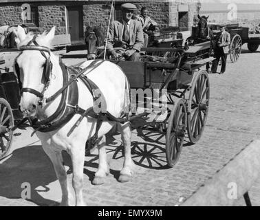 Un uomo a cavallo di un pony e carrello sull isola di Sark nelle isole del Canale. Il 1 agosto 1969. Foto Stock