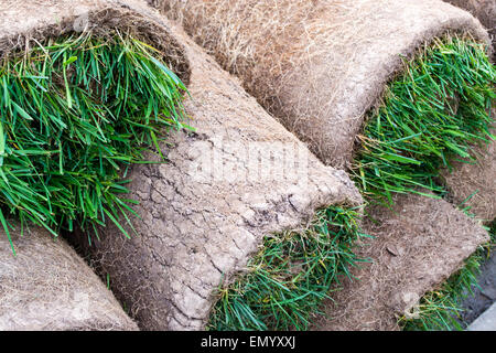 Turf pronto per essere utilizzato per un nuovo giardino prato Foto Stock