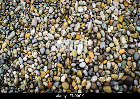 Molti ciottoli e pietre creare un pattern su una spiaggia deserta Foto Stock