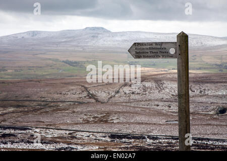 Un Pennine Way segno su Pen-y-Ghent, con Inglebrough nella distanza Foto Stock