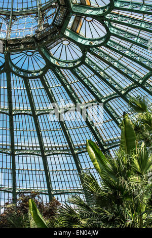 Decorate ferro battuto travi reticolari del Jardin d'hiver presso le Serre Reali di Laeken in stile Art Nouveau, Belgio Foto Stock