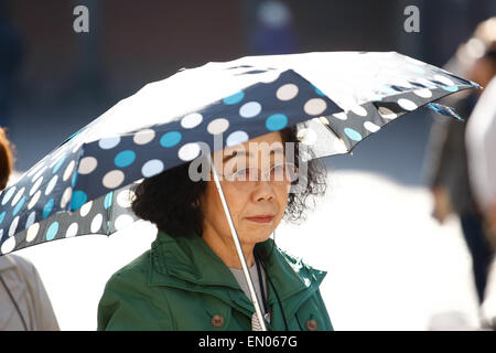 L'Aia, Paesi Bassi. 23 apr, 2015. I turisti provenienti dal Giappone sono visibili sul 'Binnenhof' la piazza vecchia all'interno di edifici parliamenary all'Aia. Giovedì. Credito: Willem Arriens/Alamy Live News Foto Stock