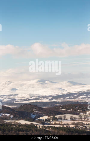 Vista su Erchless Forest Hills da Craig Phadrig in Inverness, Scotland. Foto Stock