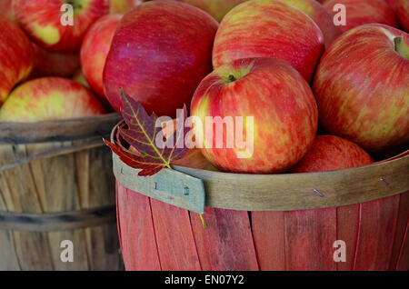 Close up di cadere le mele in bushel di legno cesti con foglia. Foto Stock