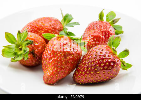 Rosso fragole appena raccolto Foto Stock