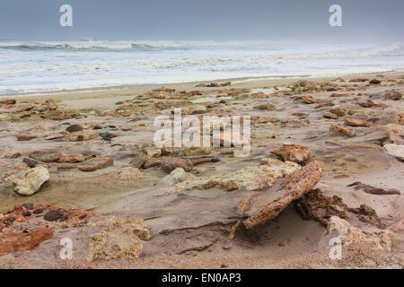 Spiaggia rocciosa Skeleton Coast Namibia, Africa. Dove il deserto incontra l'oceano atlantico. Dark Sky e spray e la nebbia proveniente da s Foto Stock