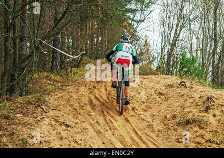 La Repubblica della Bielorussia campionato di cross-country ciclismo 19.10. 2014 - Il percorso della foresta. Gli uomini del ciclo di fase di gara. Foto Stock