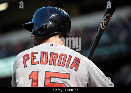 Baltimore, Maryland, Stati Uniti d'America. 24 apr, 2015. Boston Red Sox secondo baseman Dustin Pedroia (15) attende per colpire girare a bat durante il Major League Baseball gioco tra Boston Red Sox e i Baltimore Orioles tenutosi a Rigogolo Park a Camden Yards in Baltimore, Maryland. Boston sconfigge Baltimore 7-5. Eric Canha/CSM/Alamy Live News Foto Stock