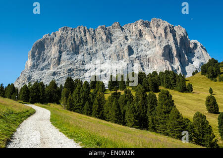 Sassolungo Vista panoramica, Dolomiti - Italia Foto Stock