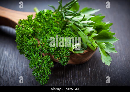 Le erbe fresche sul tavolo di legno Foto Stock