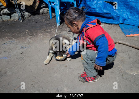 Una giovane ragazza nepalese sta alimentando un cucciolo Foto Stock