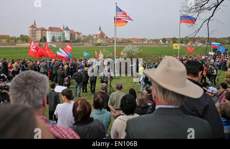 Torgau, Germania. Xxv Aprile, 2015. Gli ospiti e testimoni contemporanei guarda una cerimonia intitolata "70 anni di Elba giorno' in Torgau, Germania, 25 aprile 2015. Durante la "Elbe giorno' Torgau celebra il settantesimo anniversario della raccolta dei sovietici e noi esercito verso la fine della Seconda Guerra Mondiale. La mostra al Castello di Hartenfels corre dal 24 aprile al 31 maggio e include 30 schede con fotografie storiche a partire dalla fine della Seconda Guerra Mondiale. Foto: JAN WOITAS/dpa/Alamy Live News Foto Stock