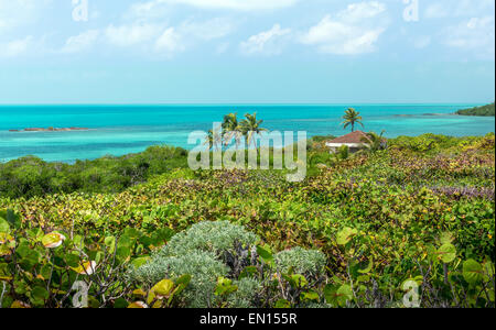 Il turchese del mare dei caraibi. Una vista da isola Contoy, Messico. Foto Stock