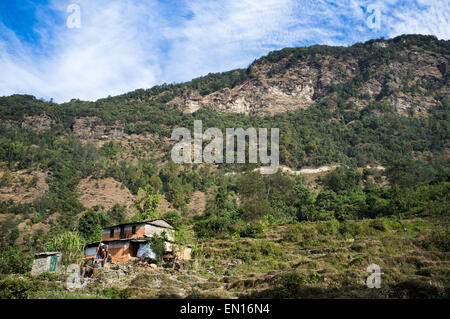 Campo nei pressi di Pokhara, Annapurna Conservation Area, Nepal, Asia Foto Stock