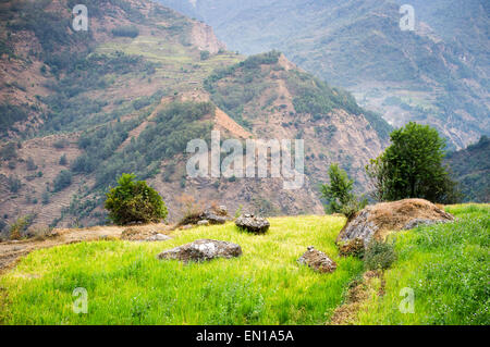 Casa rurale in montagna, area del santuario di Annapurna, Annapurna trek, Nepal Foto Stock