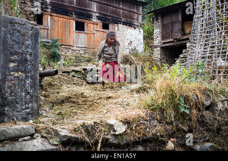 Un contadino locale sul campo di fronte alla sua casa, trek da Tatopani a Ghoda Pani, Santuario di Annapurna Regione, Nepal, in Asia. Foto Stock