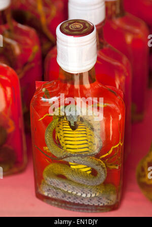 Don Sao isola, Laos, il Triangolo d'oro, il mercato di vendita di stallo tonico esotico alcolici che contengono il cobra. Foto Stock