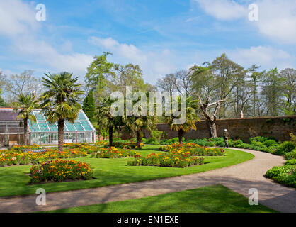 I giardini di Calke Abbey, una proprietà del National Trust, Calke, Derbyshire, in Inghilterra, Regno Unito Foto Stock