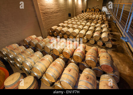 Botti da vino del Groot Constantia wine estate in Città del Capo Sud Africa. Foto Stock