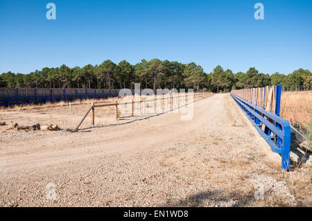 Passaggio della fauna selvatica in una-15 autostrada, Soria, Spagna Foto Stock