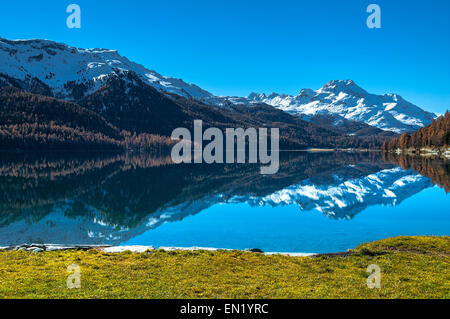 Autunno riflessioni sul lago di Silvaplana, Svizzera Foto Stock