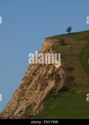 Ripida collina sulla costa percorso tra il West Bay e Seatown vicino Eype beach, Dorset. Regno Unito Foto Stock