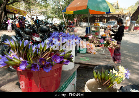 Signora birmano disponendo fiori colorati per la sua strada in stallo al di fuori di un tempio in Myanmar Mandalay Foto Stock