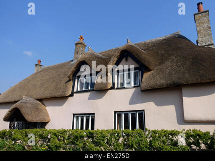 Tradizionale tetto in paglia casa di villaggio in Somerset, Inghilterra Foto Stock