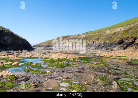 Il Rocky foreshore porto Quin vicino a Port Isaac Cornwall Inghilterra UK Europa Foto Stock