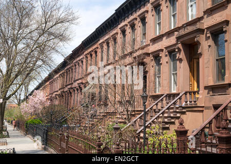 Terrazza di arenaria case lungo 8 St in Park Slope quartiere di Brooklyn, New York, Stati Uniti d'America Foto Stock
