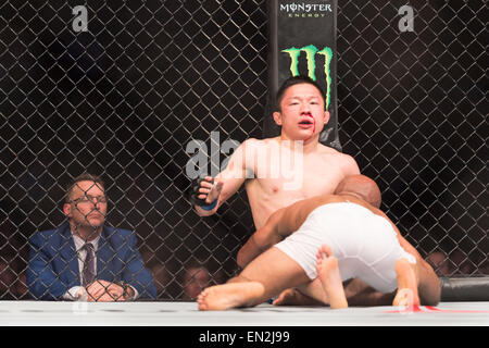 Montreal, Quebec, Canada. Xxv Aprile, 2015. DEMETRIOUS "Mouse "grandi" Johnson domina KYOJI HORIGUCHI durante il loro peso mosca campionato bout all UFC 186 al centro della Bell a Montreal. © Allan Zilkowsky/ZUMA filo/Alamy Live News Foto Stock