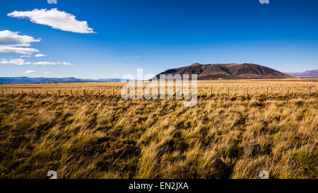 La steppa della Patagonia, Santa Cruz, Argentina Foto Stock