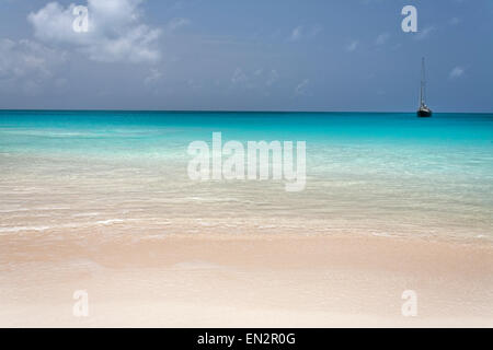 Sabbia Rosa Beach, Barbuda, Isole Sottovento, dei Caraibi Foto Stock