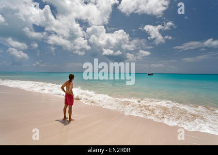 Sabbia Rosa Beach, Barbuda, Isole Sottovento, dei Caraibi Foto Stock