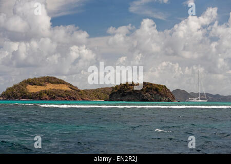 Tobago Cays Marine Park, Grenadine Foto Stock