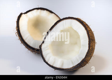 Il Cocco su sfondo semplice Foto Stock