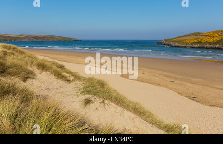 Crantock spiaggia sabbiosa North Cornwall Inghilterra REGNO UNITO vicino a Newquay sulla costa sud-ovest percorso in primavera con il blu del cielo e del mare Foto Stock