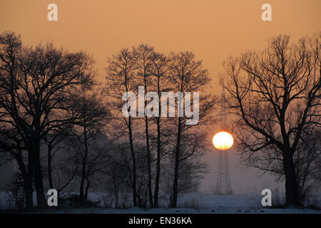 Alberi, pilone, inverno, tramonto, Neufinsing, Baviera, Germania Foto Stock