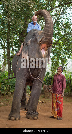 Equitazione turistica un elefante e mahout o guida dell'elefante, Peermade, Kerala, India Foto Stock