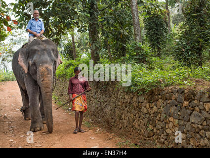 Equitazione turistica un elefante, accompagnato da un mahout o guida dell'elefante, Peermade, Kerala, India Foto Stock