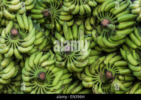 Gli stocchi di banana, Broadway Market, Ernakulum, Kerala, India Foto Stock