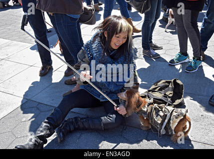 Una bella donna asiatica prendendo un selfie del suo cane bassotto a Giorno in Washington Square Park, Greenwich Village, New York Foto Stock