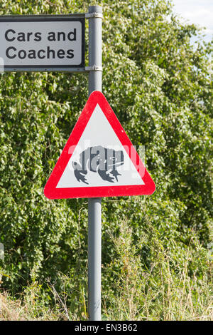 Cartello stradale di avvertimento di rane sulla strada. Situato nei pressi di un laghetto accanto alla strada di accesso alla spiaggia di Alnmouth car park, Northumberland. Foto Stock