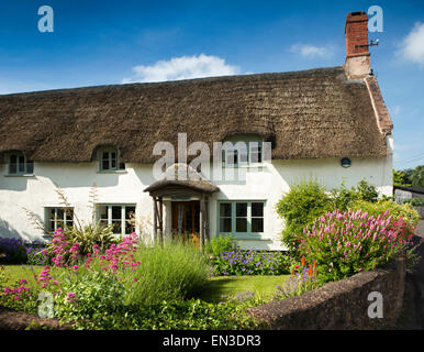 Regno Unito, Inghilterra, Somerset, Taunton, Vescovi Lydeard, idilliaco cottage con tetto di paglia di Farringdon con colorfully coltivata garden Foto Stock