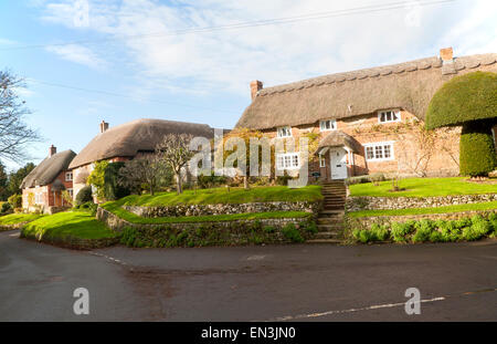 Attraente tradizionale cottage con il tetto di paglia nel villaggio di Woodborough, Wiltshire, Inghilterra, Regno Unito Foto Stock