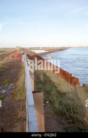 Acciaio palancole costruito come una difesa costiera rapida erosione costa del Mare del Nord, Est Lane, Bawdsey, Suffolk, Inghilterra, Regno Unito Foto Stock